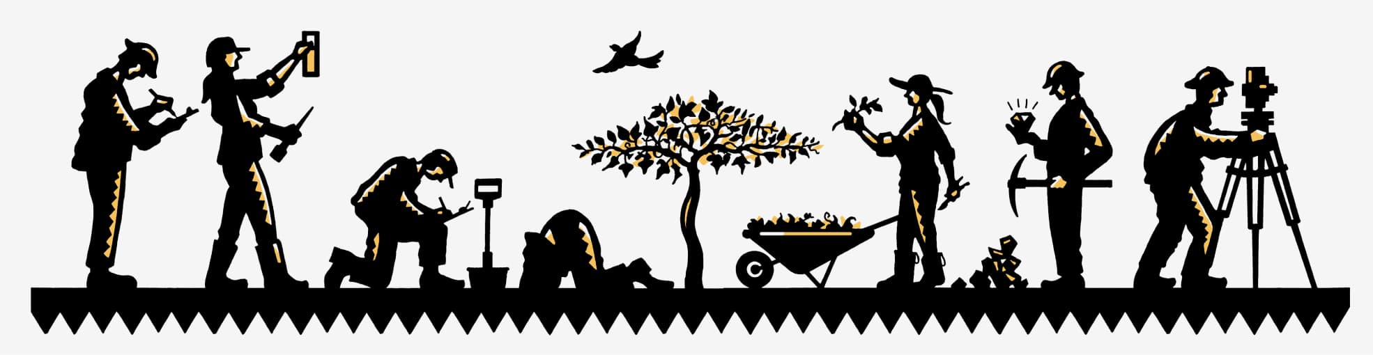 experts illustration